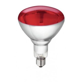 Ampoule  infrarouge 250W